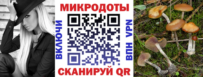 Псилоцибиновые грибы прущие грибы  Купить где  Короча 
